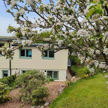 Broadhaven Cottage, Freshwater East, Pembs بيمبروك المظهر الخارجي الصورة