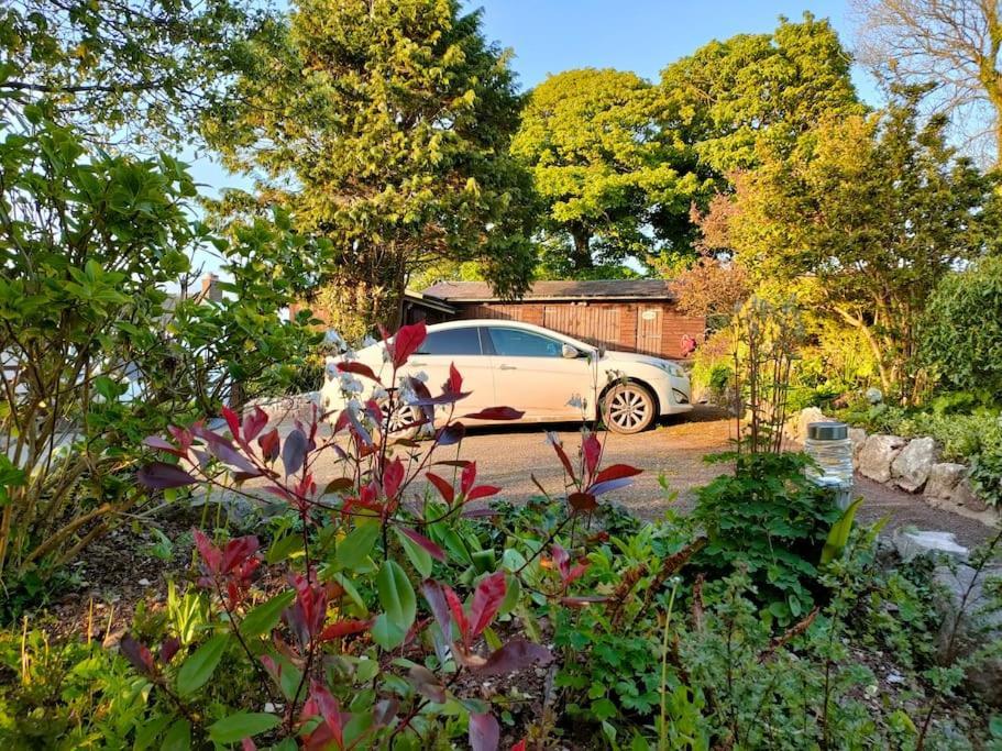 Broadhaven Cottage, Freshwater East, Pembs بيمبروك المظهر الخارجي الصورة